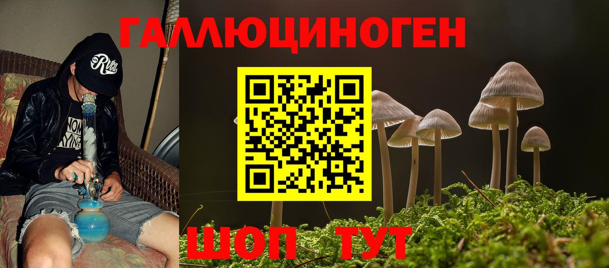 Галлюциногенные грибы мухоморы Семёнов