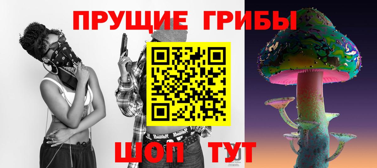 Семёнов  Псилоцибиновые грибы Psilocybine cubensis  Вход с VPN 